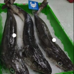 Merluza de pincho