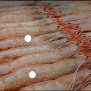 Gamba Blanca De Huelva